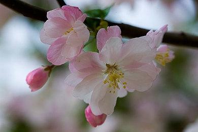 《地心护核者》钓鱼小游戏被移除 或将在优化后回归